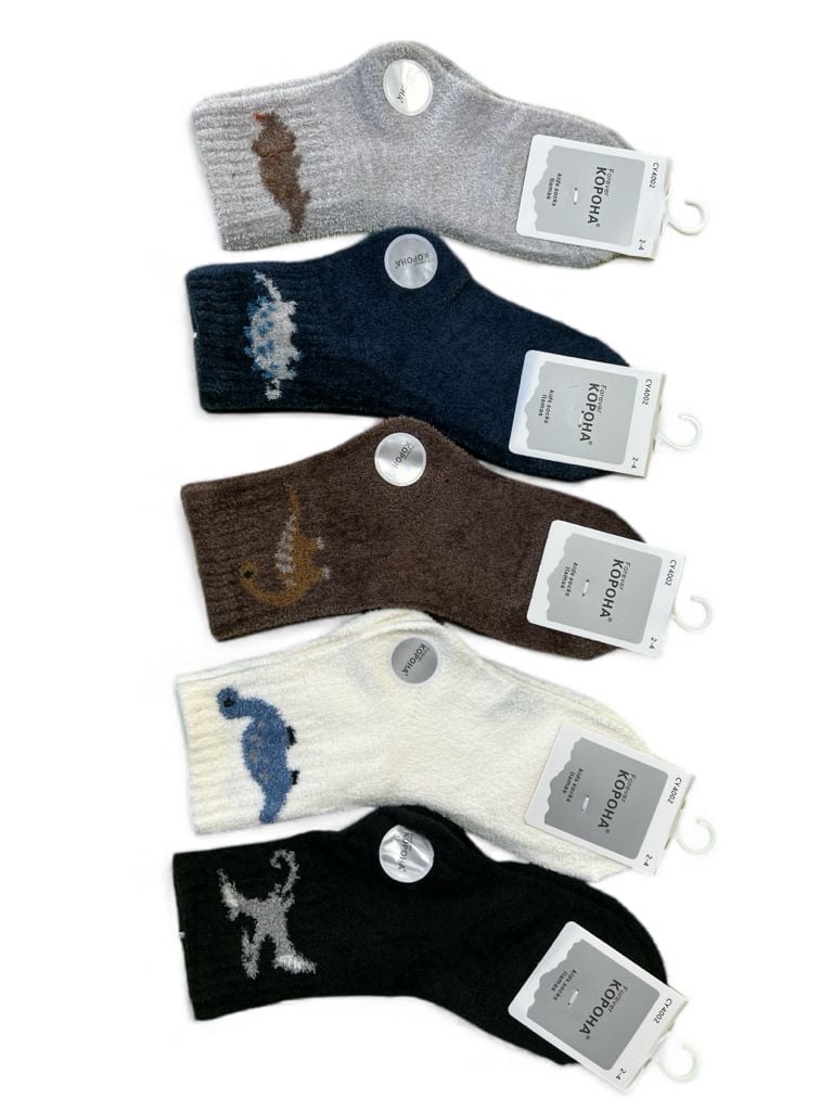 Шкарпетки CY4002-3 mix 2-4(р)